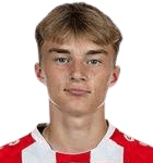 K. Potulski